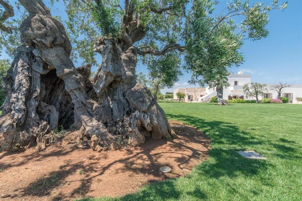 Masseria Il Frantoio By Raro Villas オストゥーニ エクステリア 写真